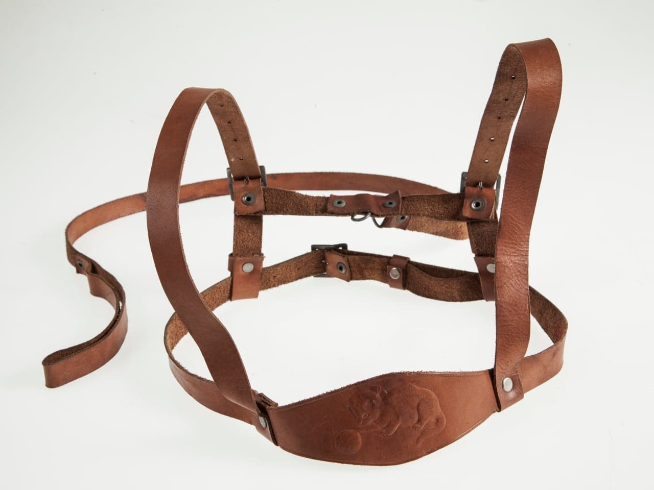 Walking harness for toddlers